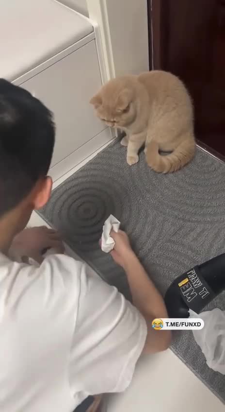 Не царское это дело, мышей ловить😆 смотреть онлайн