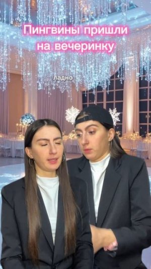 Пингвины пришли на вечеринку