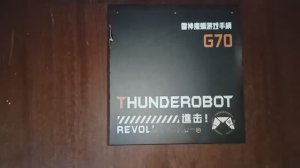 Мой колхозный обзор на геймпад Thunderobot G70