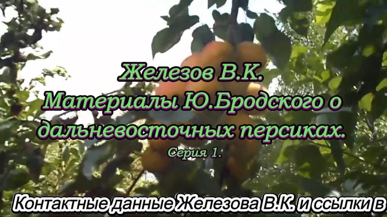 Железов В.К. Материалы Ю.Бродского о дальневосточных персиках. Серия 1. смотреть онлайн