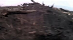 Фронтовые будни СВО (хроника)