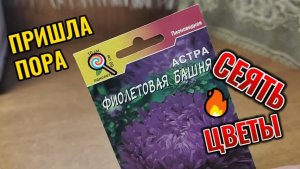 Проверка рутуба на публикациях про семена цветов