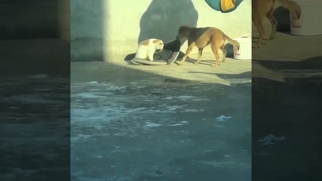 Ближе к солнышку смотреть онлайн