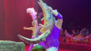 Цирк-шапито "Кудзинов" Сказка «Приключения Бабы Яги в Цирке»