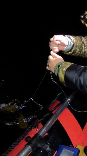 НОЧНЫЕ БУТИЛКИ В ДЕЛЕ