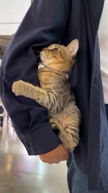 Я не трус.. смотреть онлайн