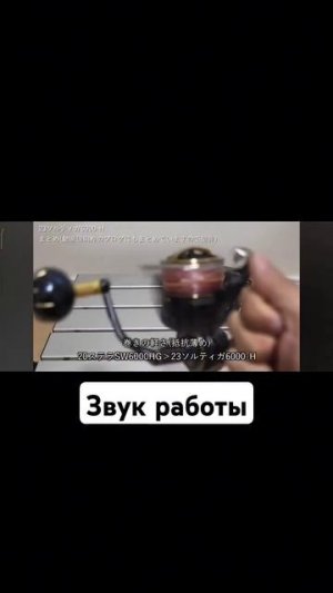 Stella SW vs 23 Saltiga #reels #Shimano #Daiwa