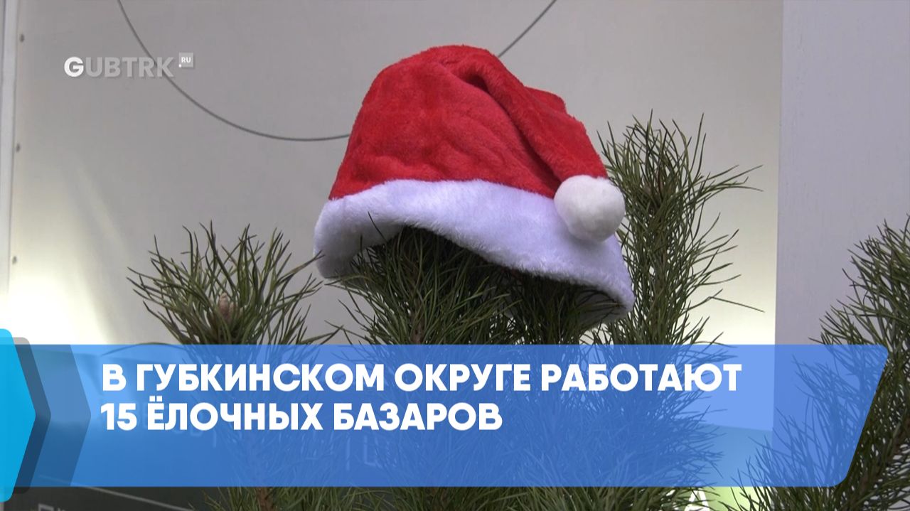 В Губкинском округе работают 15 ёлочных базаров смотреть онлайн