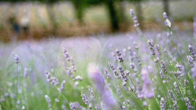 Ivanetti - Viva Misic/viva Life #ЭмоциональнаяМузыка#ЖизньПрекрасна#МузыкаДляДуши#AmbientMusic