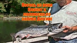 Лосось из реки Кламат и моллюски из залива Диггинг