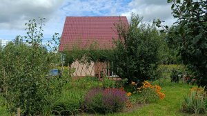 Полгода вдвоём с Фостиком.