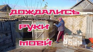 Раздвоилась 😂 ЛОМАЕМ САРАИ, ПОДЕЛИЛАСЬ С СОСЕДОМ КАПУСТОЙ.