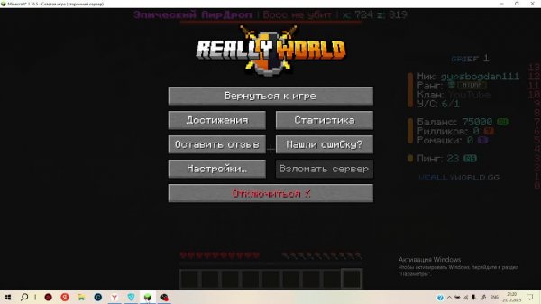 играю с другом на веалеворлд