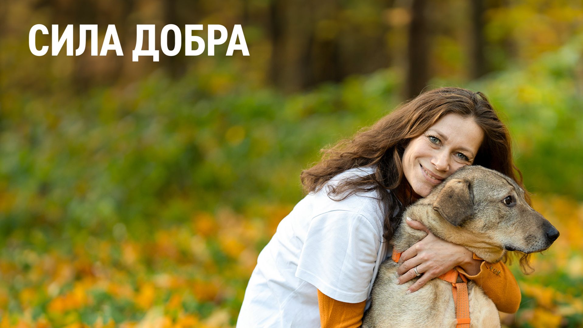 Сила добра смотреть онлайн