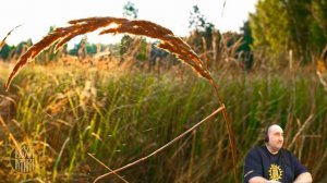 Зачем людям взаимодействовать с животными.