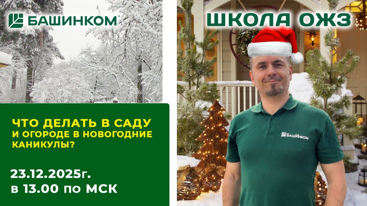 Что делать в саду и городе в новогодние каникулы? смотреть онлайн