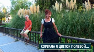 Сорвала я цветок полевой. Поет Наталья Прокина