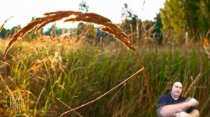 Силовой источник демонов.