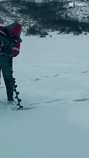 РЫБАЛКА на ЖЕРЛИЦЫ и БАЛАНСИРЫ 2025 -2026! #рыбалка #зимняярыбалка #жерлицы #щука #первыйлёд2025 смотреть онлайн