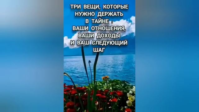 Цитаты о смысле жизни. смотреть онлайн