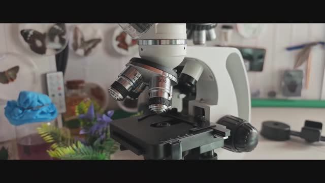 Микроскопы Levenhuk Discovery Atto – обзор автора проекта «Мир глазами микроскопа» Романа Камбурова смотреть онлайн