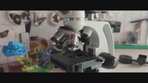 Микроскопы Levenhuk Discovery Atto – обзор автора проекта «Мир глазами микроскопа» Романа Камбурова