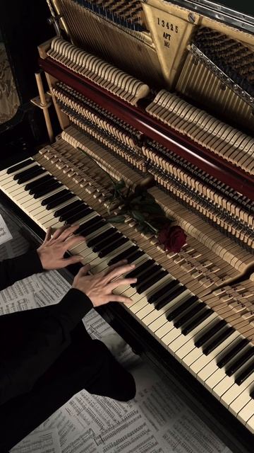 Очень красивая мелодия😍 смотреть онлайн