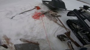 Река Енисей. Досадное происшествие на рыбалке.