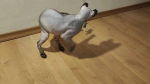 Bella Magnificent Way лига