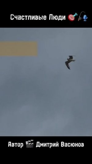 Счастливые Люди 🎯🎣