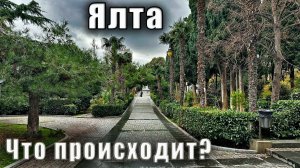 Крым сегодня. Что происходит на Центральном рынке в Ялте и зачем снова раскурочили пляж "Дельфин".