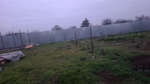 23-12-2025 А я  так  жить большое не хочу