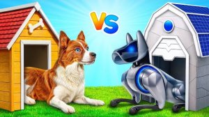 Строим домики для животных