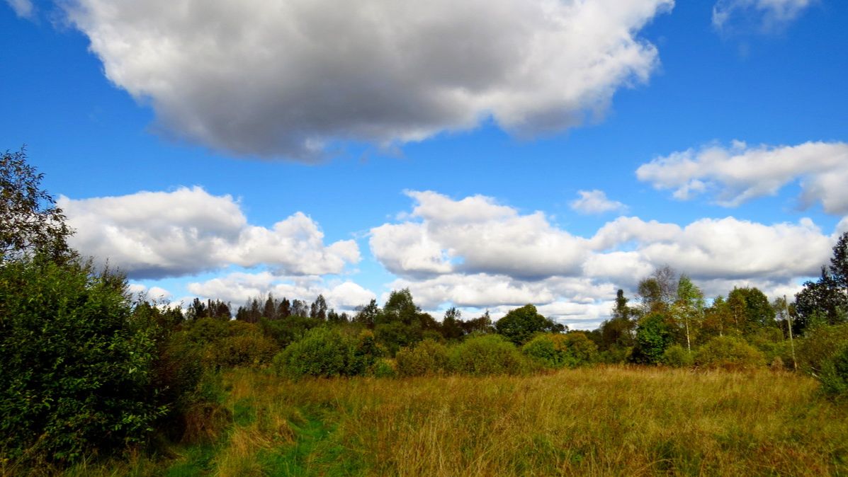 Осенняя природа смотреть онлайн