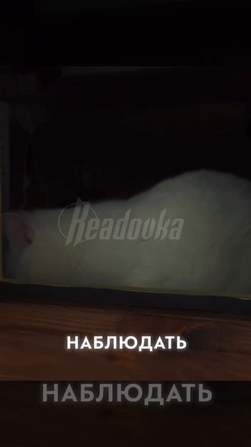 Кому нужен новый дом "под тапочки" со всеми удобствами и коммуникациями за 1 🍋, обращайтесь!!. смотреть онлайн