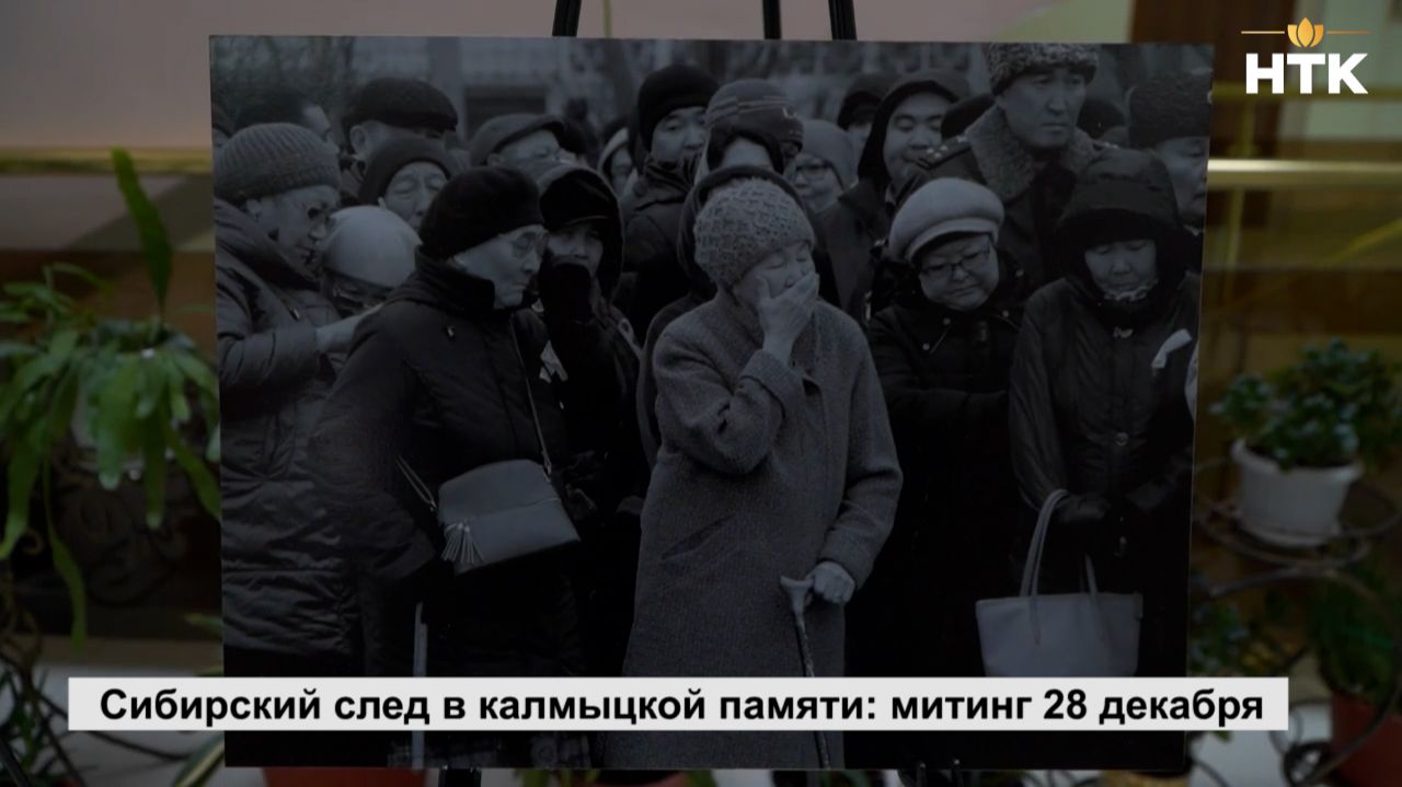 В Национальной библиотеке им. Амур-Санана открылась выставка фотографий Виталия Катышкина смотреть онлайн