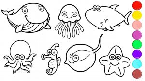 Обитатели морей и океанов как нарисовать  Рисунки и Раскраски  Мультик раскраска