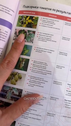 Дачники, у вас тоже память, как у рыбки Дори?#нетипичныйфермер #рассада #дача #огород