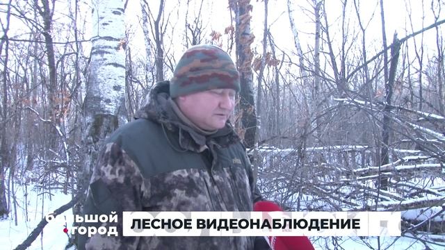 ЛЕСНОЕ ВИДЕОНАБЛЮДЕНИЕ. Большой город 23/12/2025 смотреть онлайн