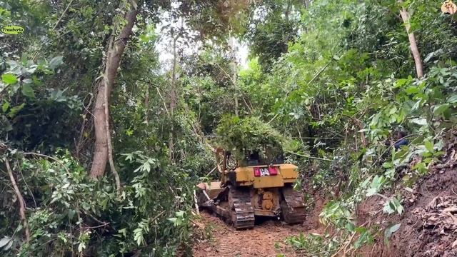Строительство, расчистка горной дороги смотреть онлайн