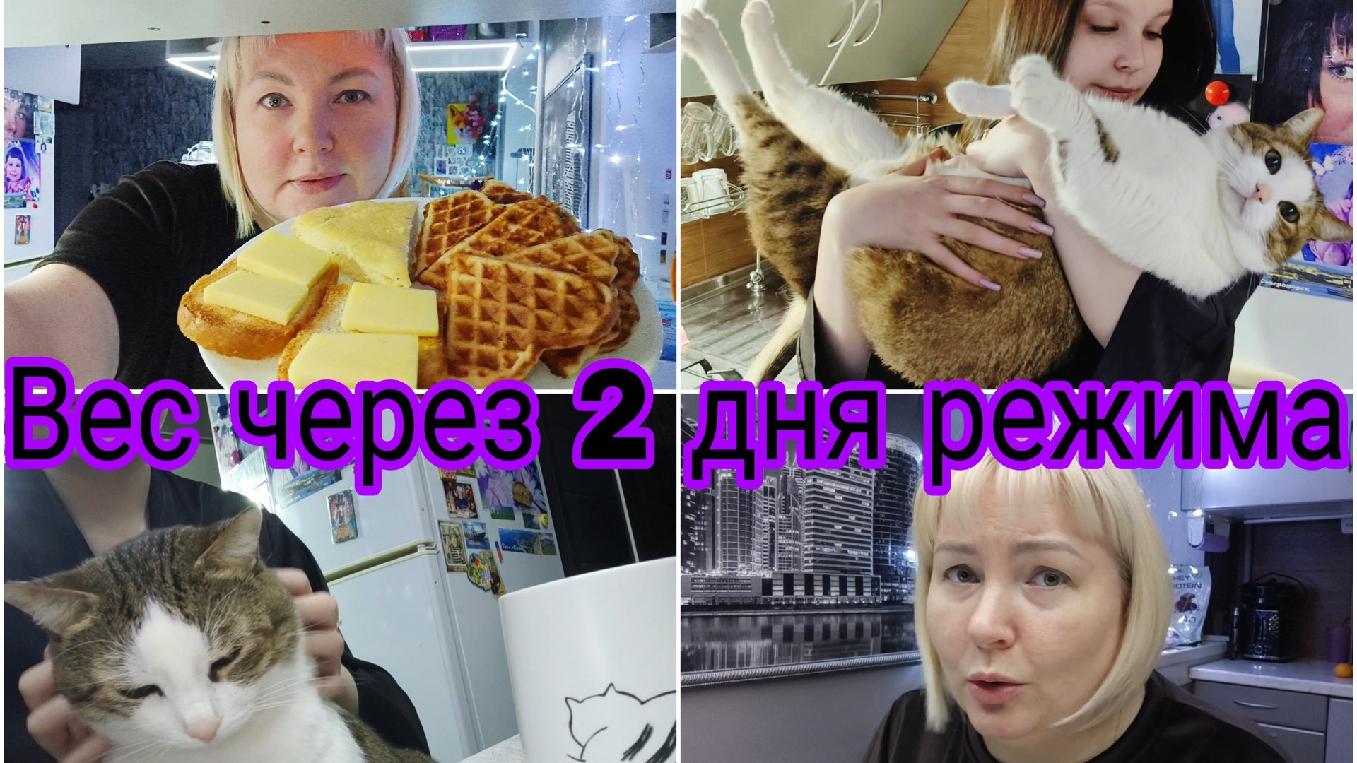 23-12-2025 Вес на 3й день после корпоратива * Вкусный завтрак * Барсик с Мариной смотреть онлайн