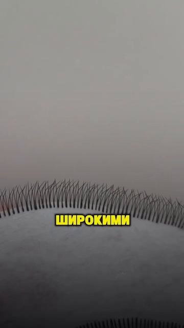 Почему ресницы получаются лохматыми?! смотреть онлайн