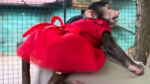 ТАК МИЛО! Анфиса на плече у Влада, а Люся точно уже стала ЛЮБИМОЙ ДЕНОЙ, которой все можно)))