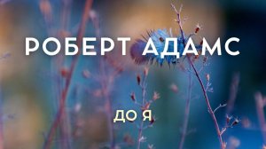До “я” — нет ничего. И есть всё. Роберт Адамс