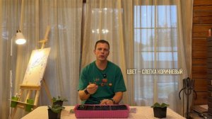 Как правильно замачивать семена. Рейтинг способов без мифов