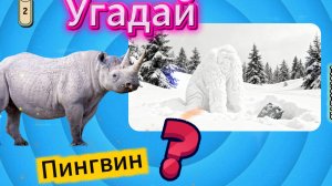 Угадай животное! 🦜 Угадай животное! 🦝 Викторина с оптической иллюзией. 👁️🗨️