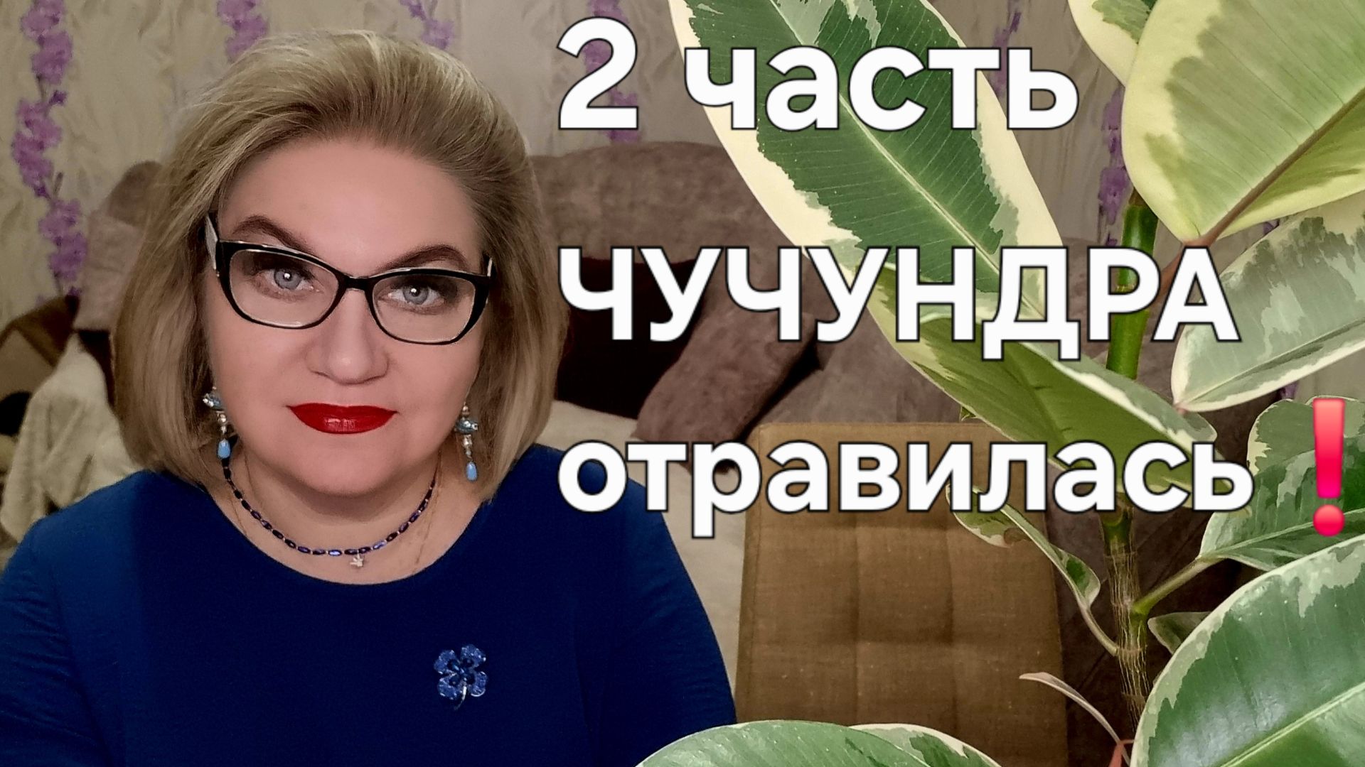 ЧУЧУНДРА отравилась❗ смотреть онлайн