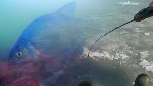 ТОЛЬКО ОН МОЖЕТ ТАК ЗАГНУТЬ УДОЧКУ. Рыбалка на Белоярском водохранилище.