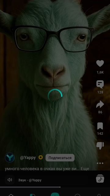 Яппи приложение для дебилоидов с -♾️♾️♾️♾️♾️♾️♾️♾️♾️ IQ