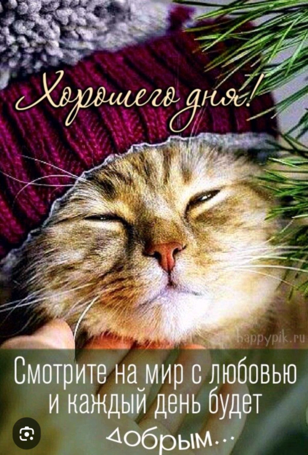 Мурагка смотреть онлайн